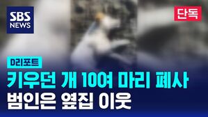 [단독] 키우던 개 10여 마리 폐사&hellip;범인은 옆집 이웃 (D리포트)