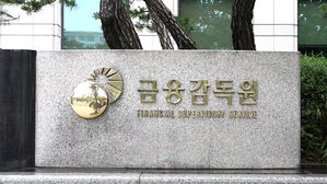 금감원 "모바일 보험청약할 때도 설계사 직접 만나 청약해야"