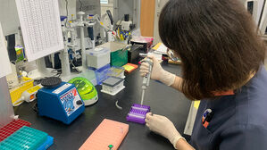 '개고기 둔갑술' 감별&hellip;서울시, 음식 속여팔기 검사체계 구축