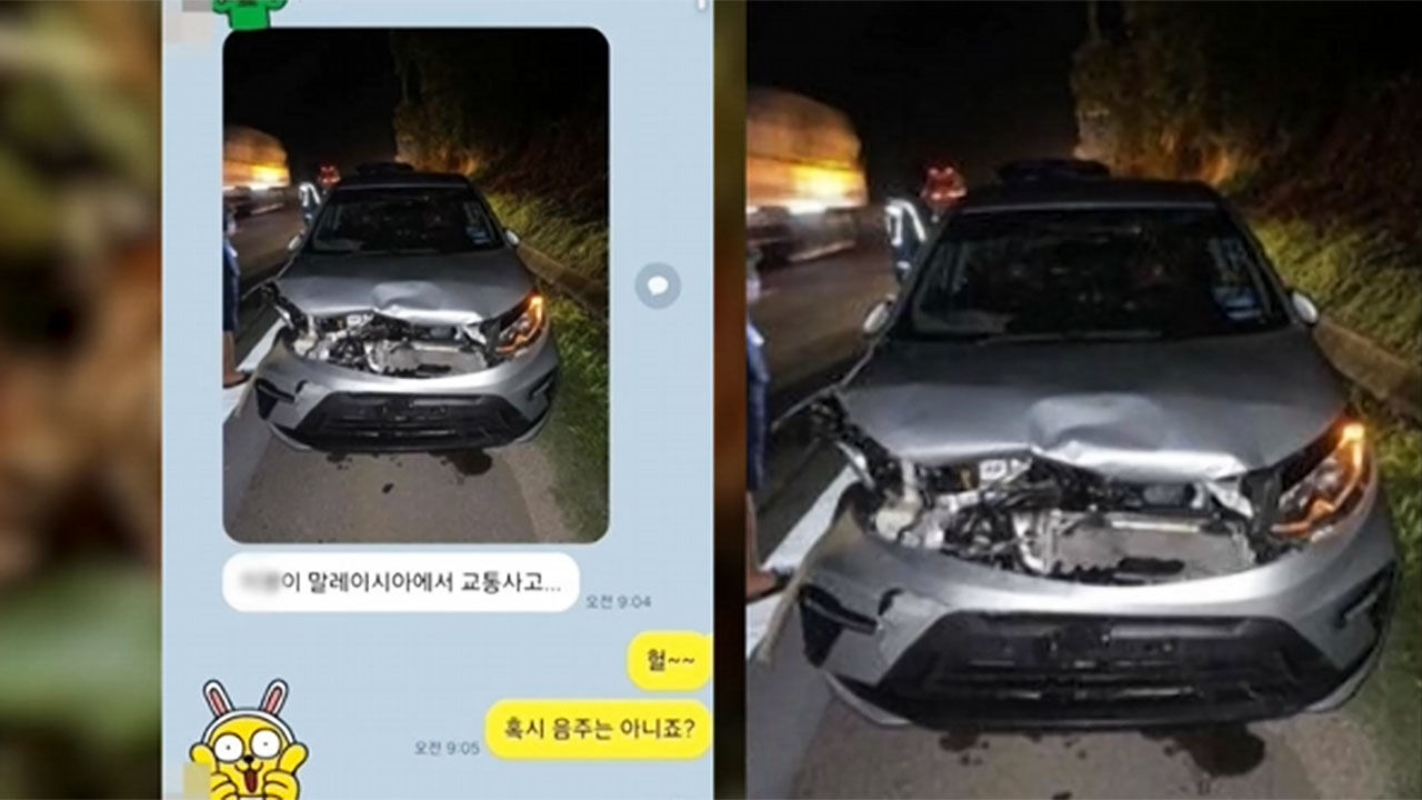 호랑이 로드킬한 차량, 카톡방