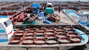 잇단 폭염에 가축 78만 마리 폐사&hellip; 양식장도 103만 마리 피해