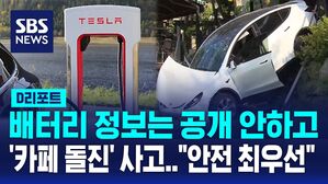 [D리포트] 배터리 공개 안 한 테슬라&hellip;'카페 돌진' 사고 나자 "안전 최우선"