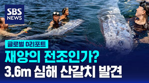 [글로벌D리포트] 재앙의 전조인가?&hellip;3.6m 심해 산갈치 발견