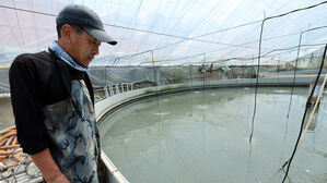 역대급 폭염에 가축들도 신음&hellip;가금류 등 누적 90만여 마리 폐사