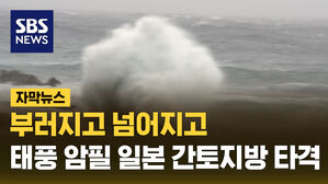 SBS NEWS 자막뉴스 부러지고 넘어지고..태풍 암필 일본 간토지방 타격