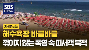 SBS NEWS [자막뉴스] 해수욕장 바글바글..꺾이지 않는 폭염 속 피서객 북적