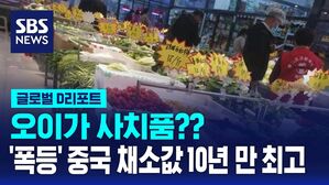 [글로벌D리포트] "오이가 사치품"&hellip;중국 채소값 10년 만에 '최고'