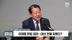 0819 정치쇼 김병주