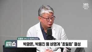 0819 정치쇼 조응천