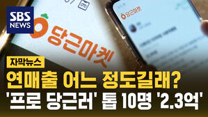 [자막뉴스] '프로 당근러' 연매출은? "종합소득세 대상자 평균 4600만 원 신고"