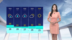 [날씨] 무더위 속 곳곳 소나기&hellip;태풍 '종다리' 북상 중