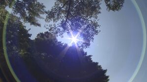 [Pick] 35도 무더위에 저혈당 쇼크…경찰, 응급처치로 살렸다