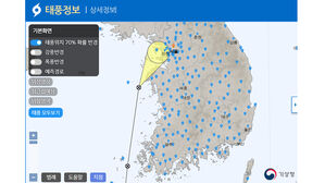 태풍 영향 부산 밤새 번개 &middot; 강풍&hellip;나무 2그루 쓰러져