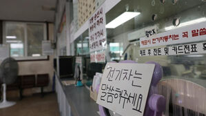 전기차, 배에 실어 말어?&hellip;여객선사 '갈팡질팡'