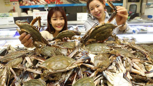 꽃게가 돌아왔다&hellip;대형마트, 금어기 끝난 꽃게 할인 경쟁