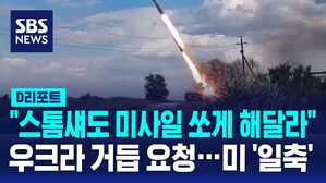 스톰섀도