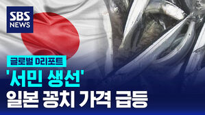 [글로벌D리포트] '서민 생선' 꽁치 가격 급등