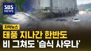 [자막뉴스] 태풍 '종다리' 지나갔지만 더위 그대로&hellip;밤에도 덥다