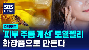 [D리포트] '피부 주름 개선' 효과 로열젤리&hellip;화장품으로