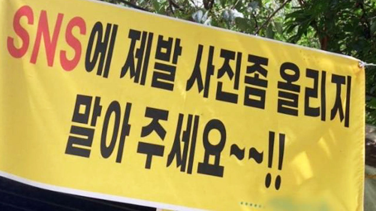 실시간 e뉴스1. SNS 안돼요_ok