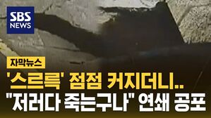 [자막뉴스] '스르륵' 점점 커지더니&hellip;"저러다 죽는구나" 연쇄 공포