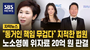 [자막뉴스] "동거인 책임 무겁다"&hellip;법원 "최태원과 김희영, 노소영에 위자료 20억 지급" 판결