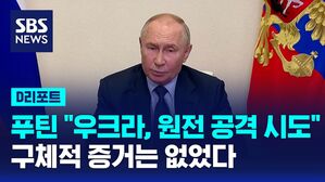 푸틴 디리