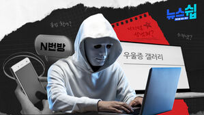 '우울증갤러리' 거쳐서 벌어진 사건, 이것은 디지털 성범죄인가 아닌가 [스프]