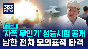 [D리포트] 북 '자폭 무인기' 성능시험 공개&hellip;남한 전차 모의 표적 타격