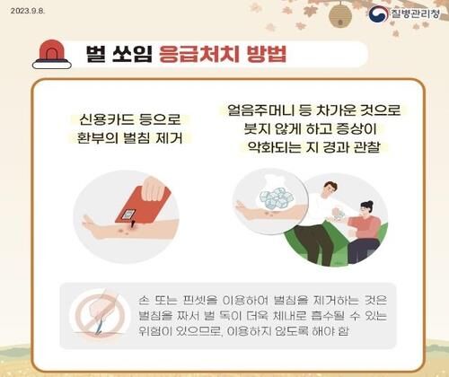 벌 쏘임 응급처치 방법 (사진=질병관리청 제공, 연합뉴스)