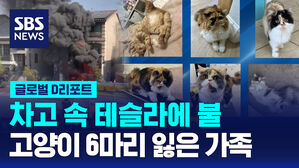 [글로벌D리포트] 차고 속 테슬라에 불&hellip;고양이 6마리 잃은 가족