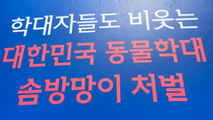 동물단체 "9층서 반려견 던졌는데 집행유예&hellip;솜방망이 처벌"