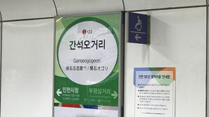 인천 간석오거리역 환기구서 연기 신고&hellip;전동차 서행