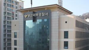 도심서 중앙선 넘고 드리프트한 20대 "새차 성능 확인하려고"