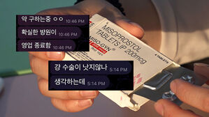 [취재파일①] 또 터진 우울증 갤러리 성범죄&hellip;경찰, "신속 수사하겠다"