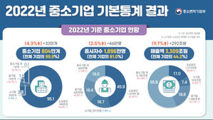 국내 기업의 99.9%는 중소기업&hellip;2022년 804만 개 돌파