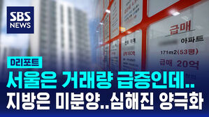 [D리포트] 서울은 거래량 급증, 지방은 미분양 급증&hellip;심해지는 양극화