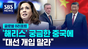 [글로벌D리포트] '해리스' 궁금한 중국에 "대선개입 말라"