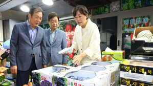 농식품부 장관 "과일 작황 좋아&hellip;사과&middot;배 출하량 증가 전망"