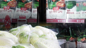 배춧값 고공행진&hellip;올해 김치 수입 '역대 최대'