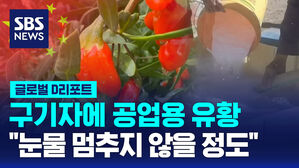 [글로벌D리포트] 구기자에 공업용 유황&hellip;"눈물 멈추지 않을 정도"