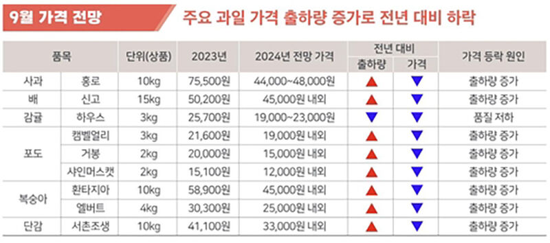9월 과일 도매가격 전망 (사진=한국농촌경제연구원 제공, 연합뉴스)