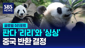 [글로벌D리포트] 판다 '리리'와 '싱싱' 중국으로