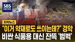 [자막뉴스] 구기자