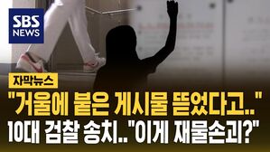 [자막뉴스] 거울 안 보여서 게시물 뗐는데 검찰 송치? '적절성 논란' 나오자&hellip;
