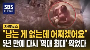 [자막뉴스] 수입 김치