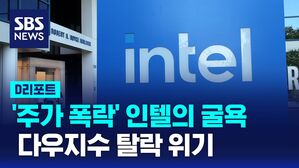 AI D리포트 인텔의 굴욕