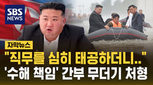 [자막뉴스] "수해 책임" 북한 간부 무더기 처형&hellip;자강도 인명 피해 큰 듯
