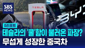 중국 전기차