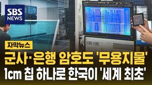[자막뉴스] 최첨단 칩